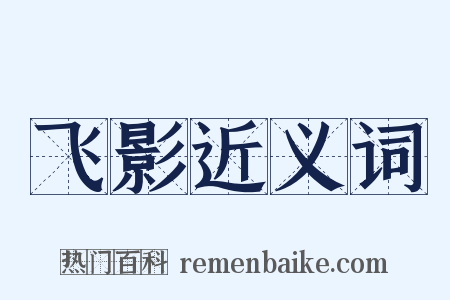 飞影近义词是什么意思的图片